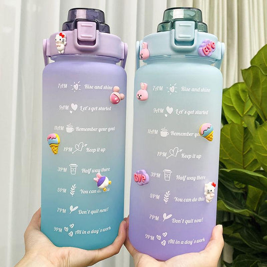 Gradient Plastic Frosted Water Bottle - SOFAVORITE